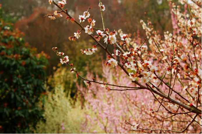 171679016421529451.png image.png