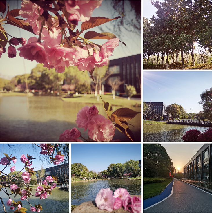 191687157683114957.png image.png