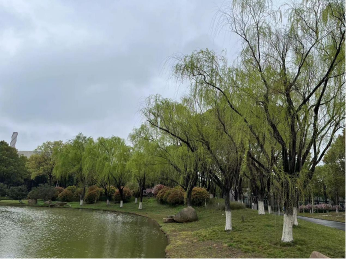 091691545051182866.png image.png